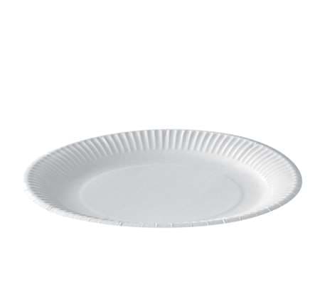 ASSIETTE CARTON 23CM X100