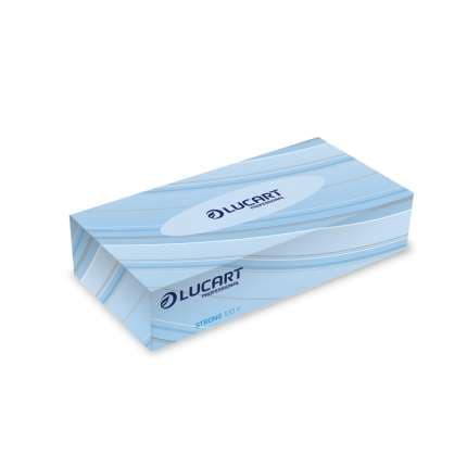 MOUCH 100: MOUCHOIRS BLANC 2 PLIS X40 BOITE DE 100 'carton''