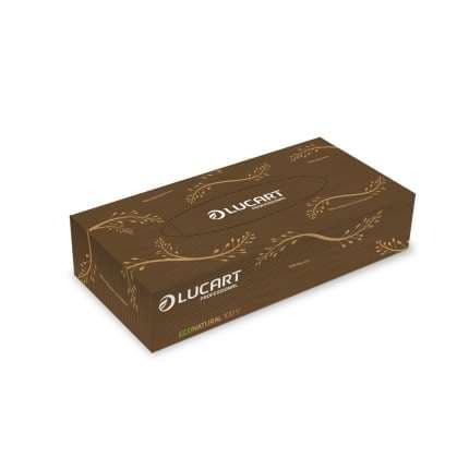 ECONATURAL 100V: MOUCHOIRS 2 PLIS X40 BOITE DE 100 'carton''