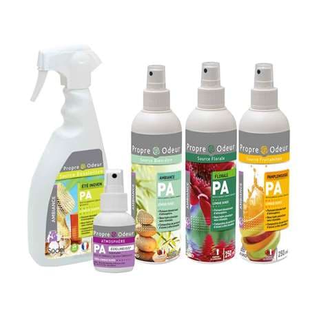PA: PARFUM D'ATMOSPHERE 250ML AMBIANCE