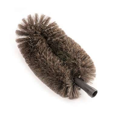 TETE DE LOUP PLACARD