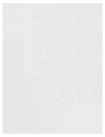 SERVIETTES 30X40 2 PLIS BLANC X2400