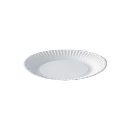 ASSIETTE CARTON 15CM X100