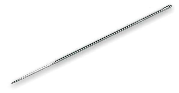 AIGUILLE A BRIDER DROIT INOX 25CM