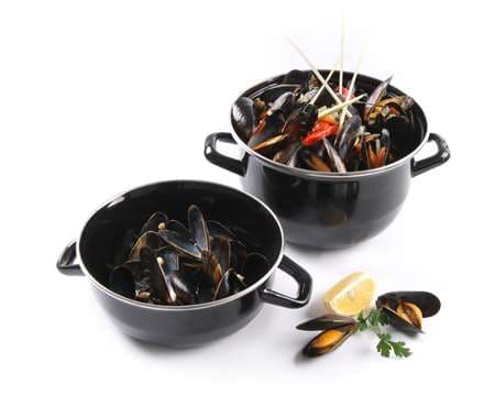 COCOTTE A MOULES EMAILLE 3L 220X200MM