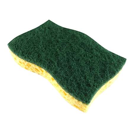 TAMPON / EPONGE VERT GRAND MODELE X10