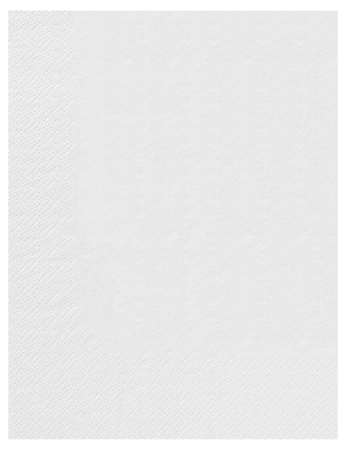 SERVIETTES 30X40 2 PLIS BLANC X2400