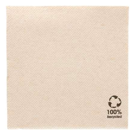 SERVIETTES ECOLABEL 'DOUBLE POINT' 20X20 x2400
