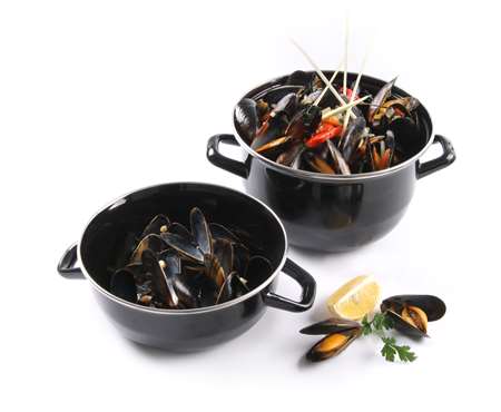 COCOTTE A MOULES EMAILLE 3L 220X200MM