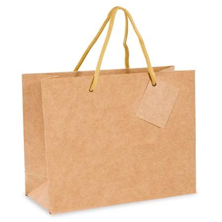 SACS BOUTIQUE ANSES CORDON 40+15x32CM NATUREL KRAFT X10